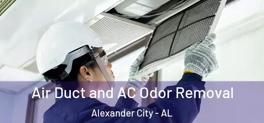 Air Duct and AC Odor Removal Alexander City - AL
