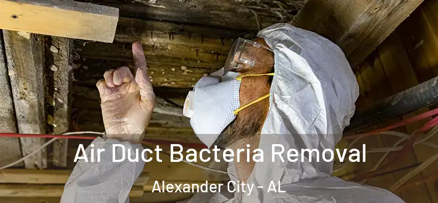 Air Duct Bacteria Removal Alexander City - AL