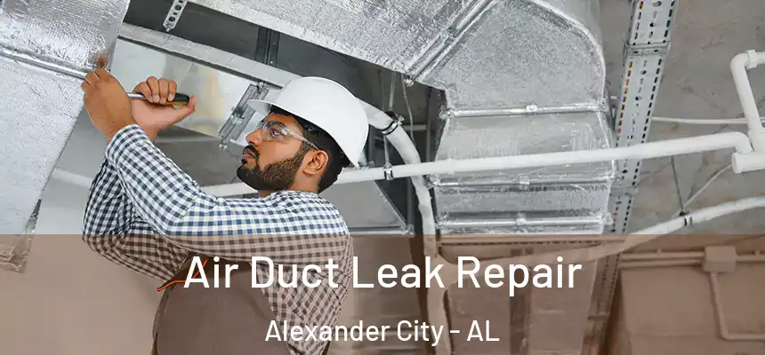 Air Duct Leak Repair Alexander City - AL