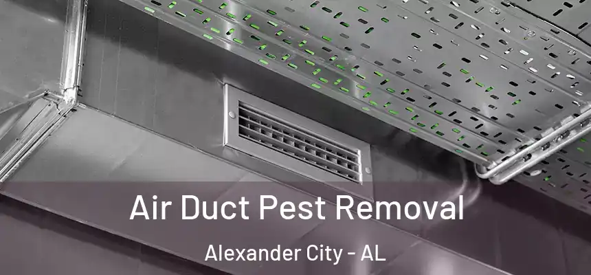  Air Duct Pest Removal Alexander City - AL