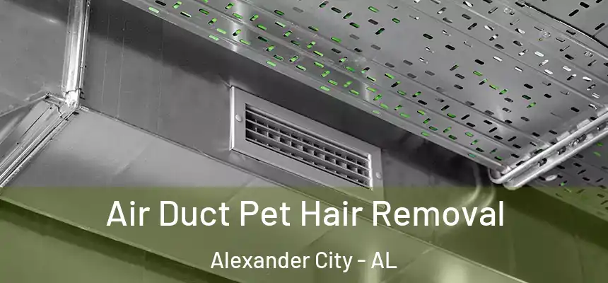 Air Duct Pet Hair Removal Alexander City - AL
