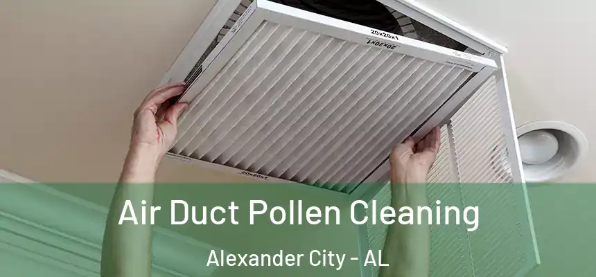 Air Duct Pollen Cleaning Alexander City - AL
