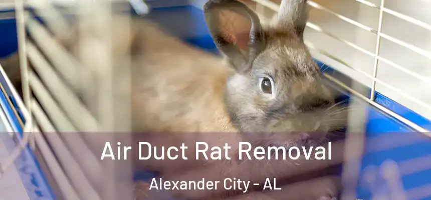 Air Duct Rat Removal Alexander City - AL