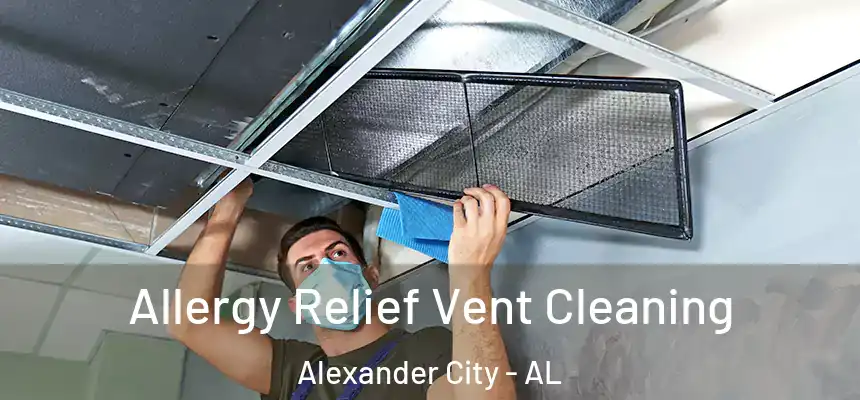  Allergy Relief Vent Cleaning Alexander City - AL
