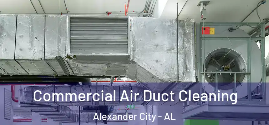  Commercial Air Duct Cleaning Alexander City - AL