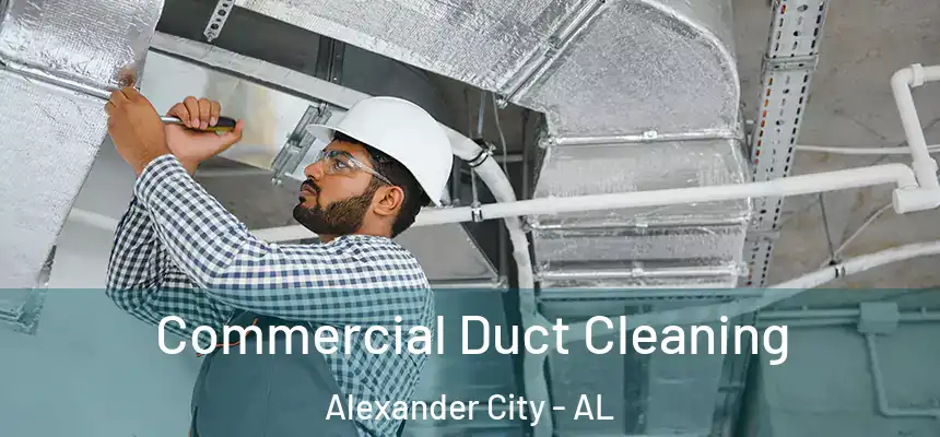 Commercial Duct Cleaning Alexander City - AL