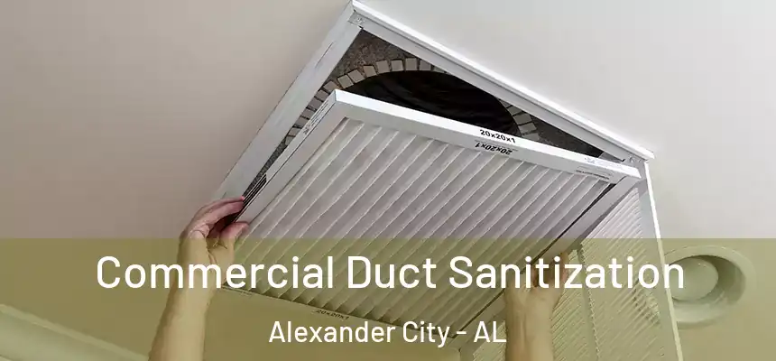  Commercial Duct Sanitization Alexander City - AL