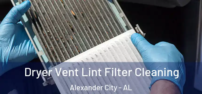  Dryer Vent Lint Filter Cleaning Alexander City - AL