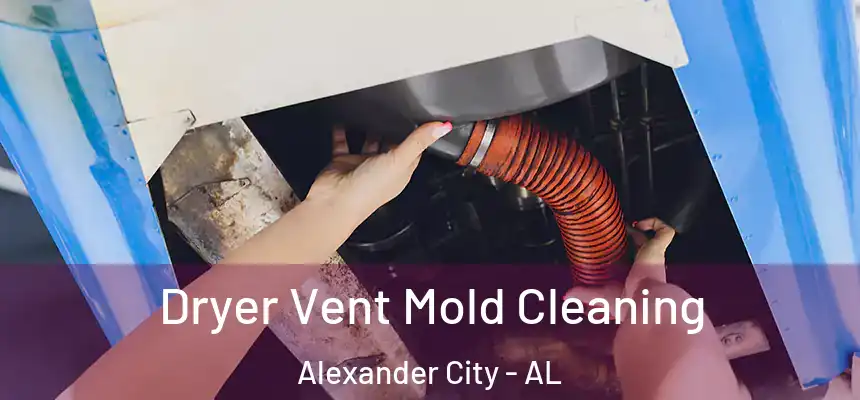 Dryer Vent Mold Cleaning Alexander City - AL
