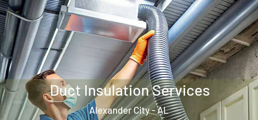 Duct Insulation Services Alexander City - AL