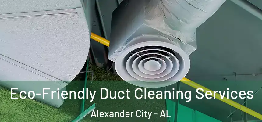  Eco-Friendly Duct Cleaning Services Alexander City - AL