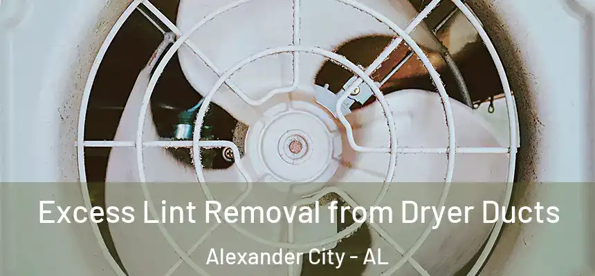 Excess Lint Removal from Dryer Ducts Alexander City - AL
