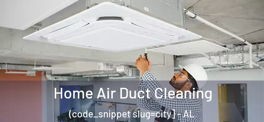 Home Air Duct Cleaning (code_snippet slug=city] - AL