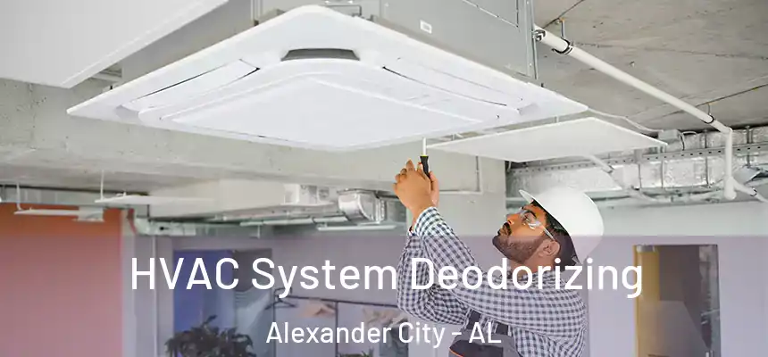 HVAC System Deodorizing Alexander City - AL