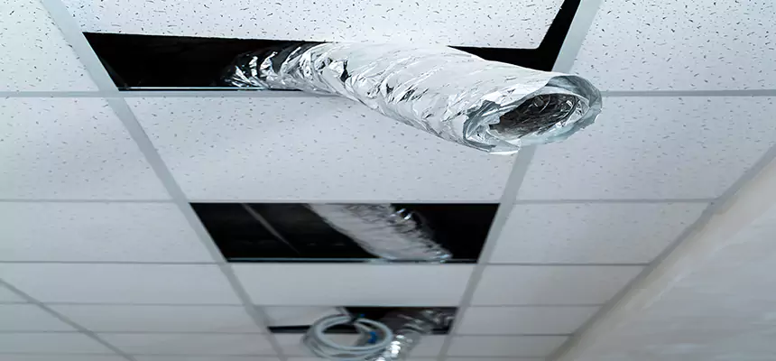 Our Air Duct Pet Hair Removal Services in Alexander City, AL