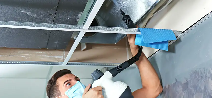 Our Air Duct Rodent Removal Services in Alexander City, AL