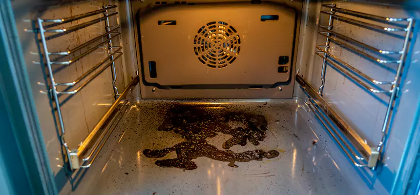 Our Dryer Vent Mold Cleaning Services in Alexander City, AL