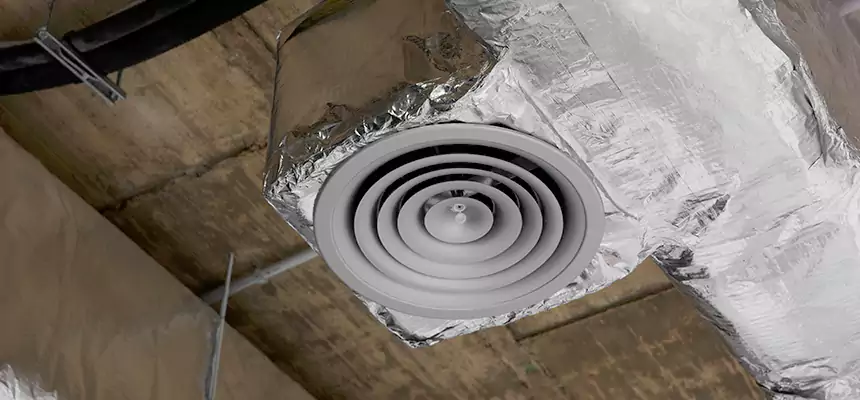Our Excess Lint Removal from Dryer Ducts Services in Alexander City, AL