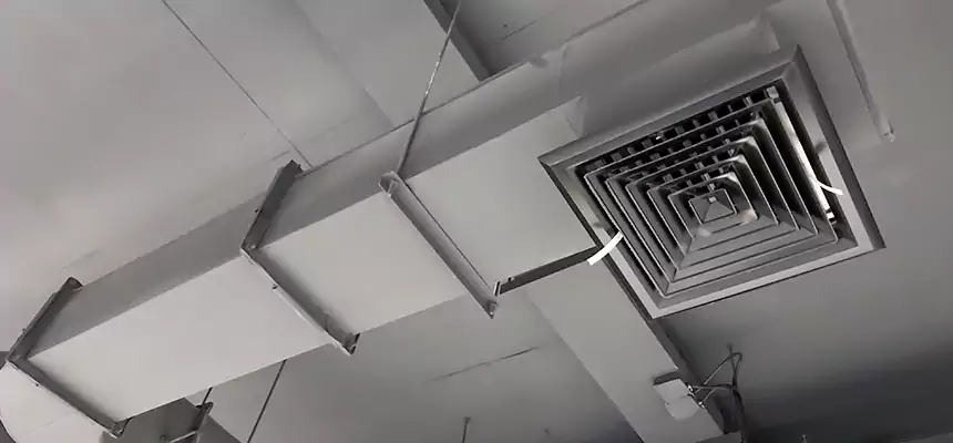 Our Pest Removal From Ducts Services in Alexander City, AL