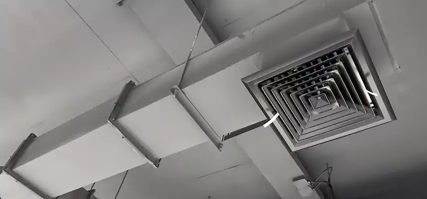 Our Rodent Droppings In Vents Services in Alexander City, AL