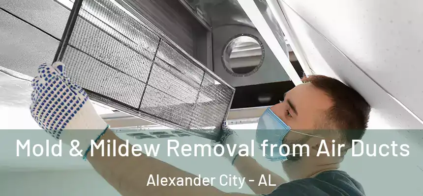  Mold & Mildew Removal from Air Ducts Alexander City - AL