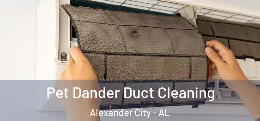 Pet Dander Duct Cleaning Alexander City - AL