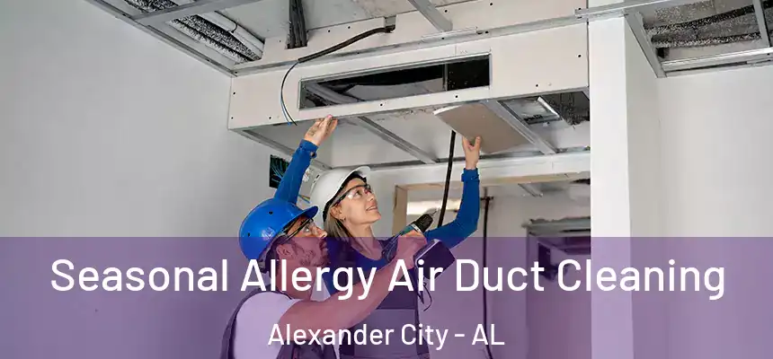 Seasonal Allergy Air Duct Cleaning Alexander City - AL