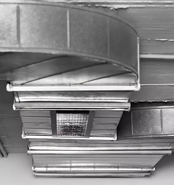 Professional Air Duct Pest Removal in Alexander City, AL