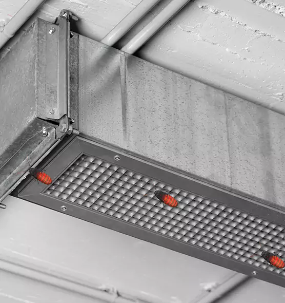 Affordable Insect Removal from Air Ducts in Alexander City, AL