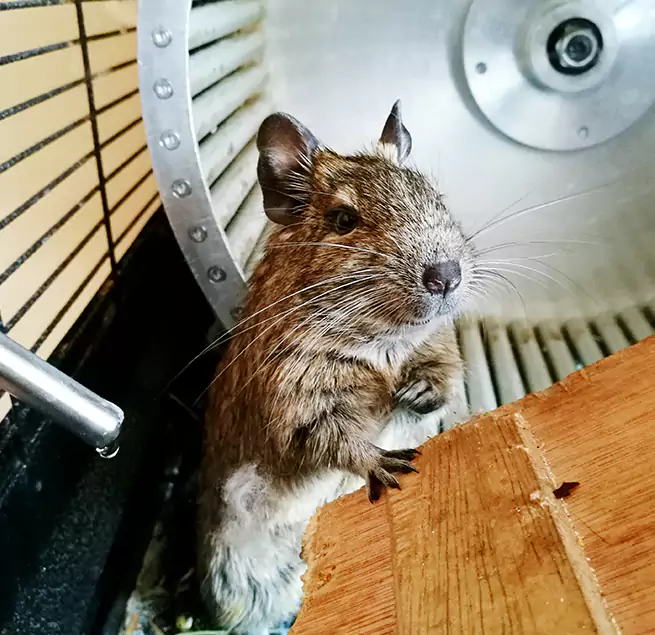 Why Homeowners & Businesses Trust Us Alexander City, AL?