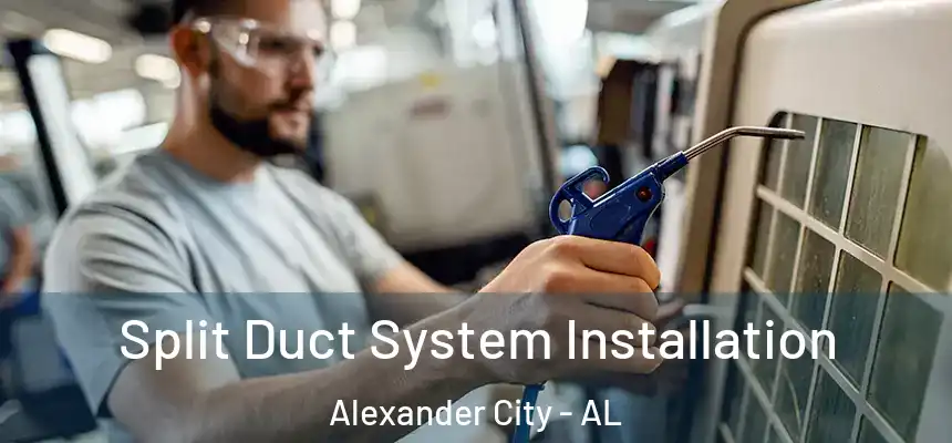 Split Duct System Installation Alexander City - AL