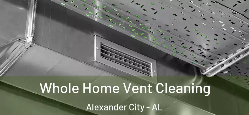 Whole Home Vent Cleaning Alexander City - AL